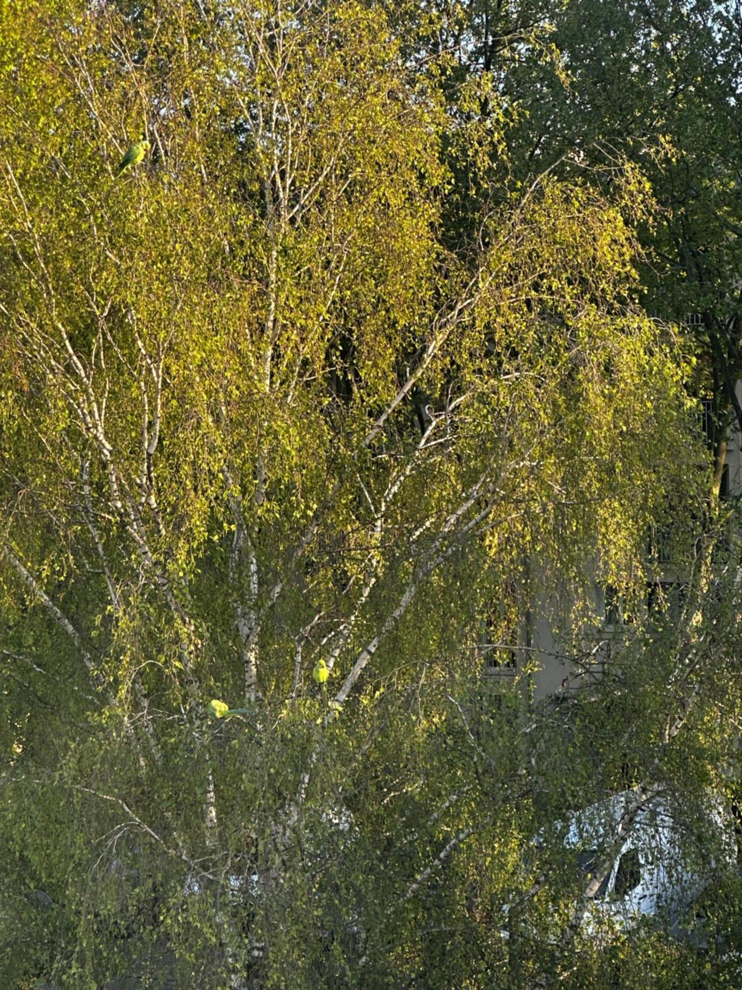Joli, Spacieux, Lumineux Proche Paris Et Orly Villejuif Exterior foto